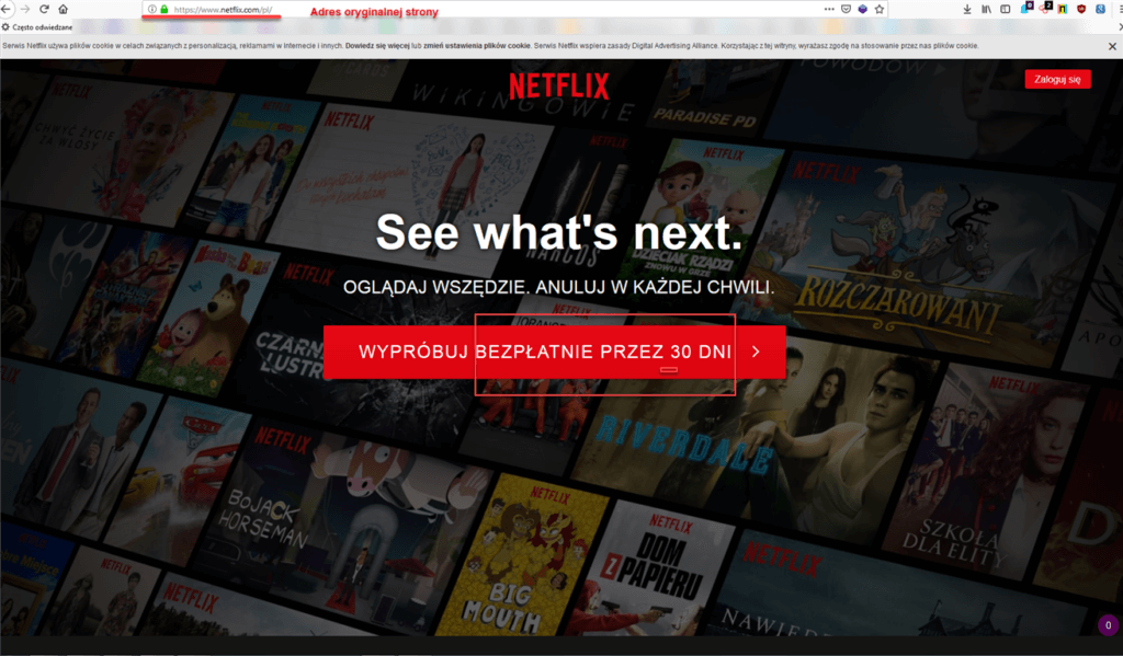 Oryginalna strona Netflix