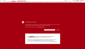 Ostrzeżenie przeglądarki przed fałszywą stroną Netflix